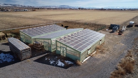 Southeast of Olathe, CO is 35± Acres of Farmland - image 7
