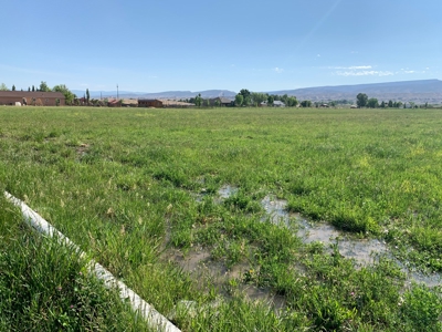 Southeast of Olathe, CO is 35± Acres of Farmland - image 26