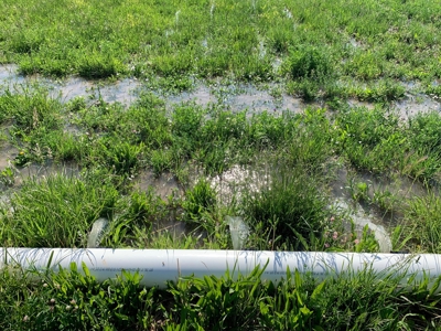 Southeast of Olathe, CO is 35± Acres of Farmland - image 25