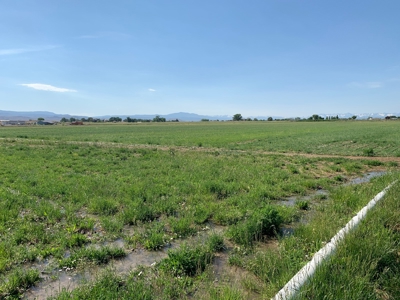 Southeast of Olathe, CO is 35± Acres of Farmland - image 27