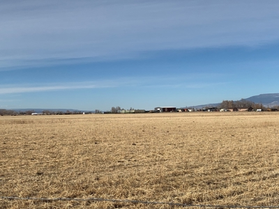 Southeast of Olathe, CO is 35± Acres of Farmland - image 5
