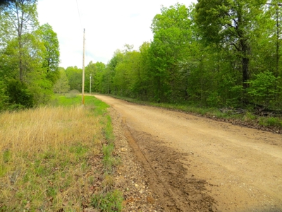 Acreage/Recreational Land In Fulton Co - image 5