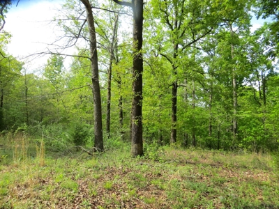 Acreage/Recreational Land In Fulton Co - image 2