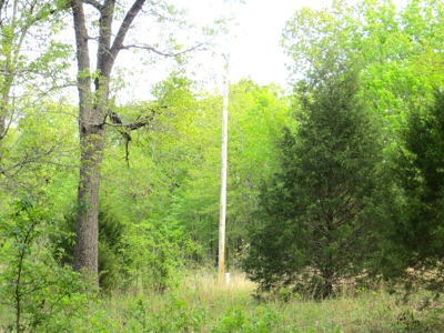 Acreage/Recreational Land In Fulton Co - image 4