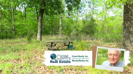 Acreage/Recreational Land In Fulton Co - image 7
