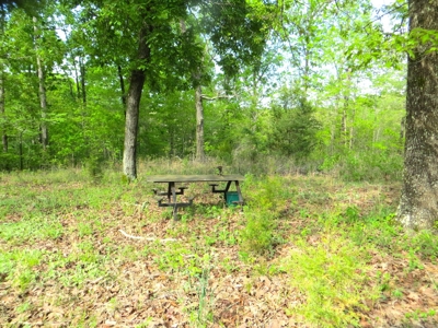 Acreage/Recreational Land In Fulton Co - image 1