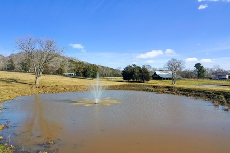 Country Estate Home For Sale In Franklin, TN - image 27