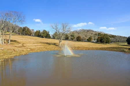 Country Estate Home For Sale In Franklin, TN - image 26