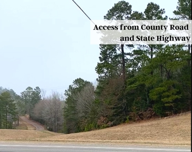 Texas Timberland and Hunting Property for Sale - image 4