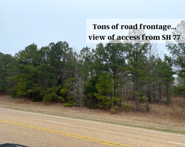 Texas Timberland and Hunting Property for Sale - image 2
