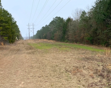 Texas Timberland and Hunting Property for Sale - image 13