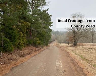 Texas Timberland and Hunting Property for Sale - image 5
