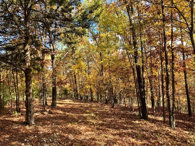 Lakeview Acreage for sale in AR - image 1