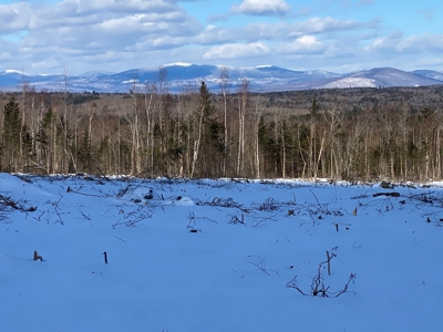 Off Grid Cabin with 86 Acres - image 11
