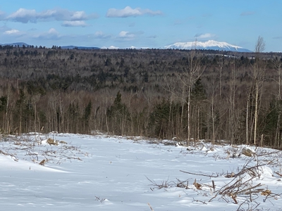 Off Grid Cabin with 86 Acres - image 3