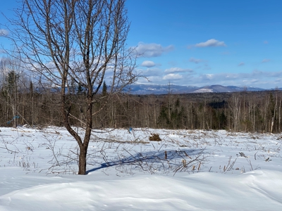 Off Grid Cabin with 86 Acres - image 6
