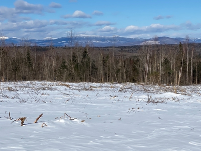 Off Grid Cabin with 86 Acres - image 4