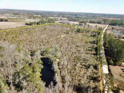46 Acres for sale on Highway 179, Bonifay, Florida - image 8