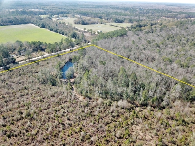 46 Acres for sale on Highway 179, Bonifay, Florida - image 4