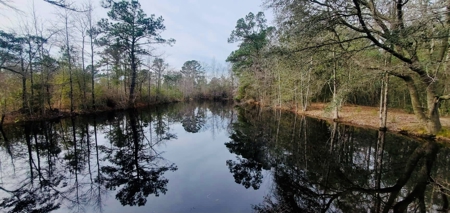 46 Acres for sale on Highway 179, Bonifay, Florida - image 15