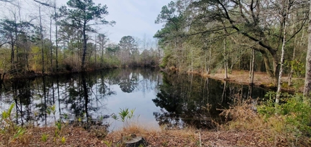46 Acres for sale on Highway 179, Bonifay, Florida - image 16