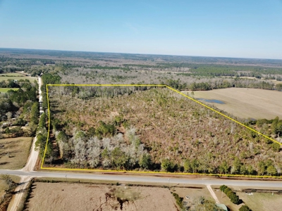 46 Acres for sale on Highway 179, Bonifay, Florida - image 2