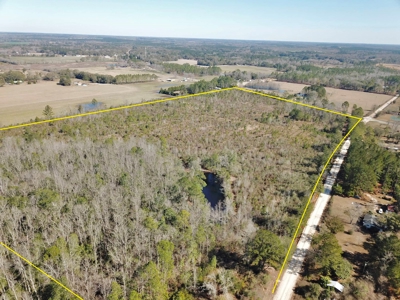 46 Acres for sale on Highway 179, Bonifay, Florida - image 7