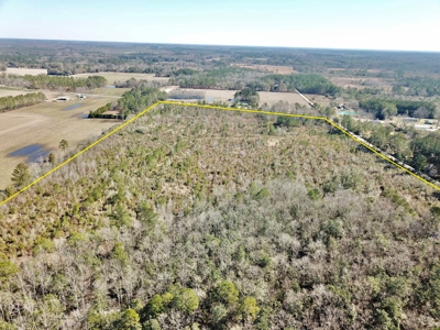 46 Acres for sale on Highway 179, Bonifay, Florida - image 6