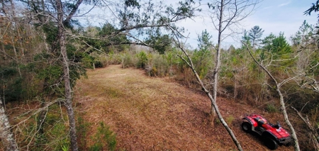 46 Acres for sale on Highway 179, Bonifay, Florida - image 12