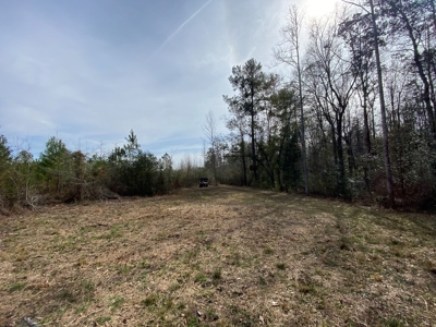 46 Acres for sale on Highway 179, Bonifay, Florida - image 9