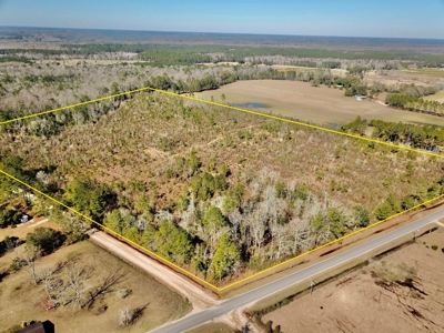 46 Acres for sale on Highway 179, Bonifay, Florida - image 1