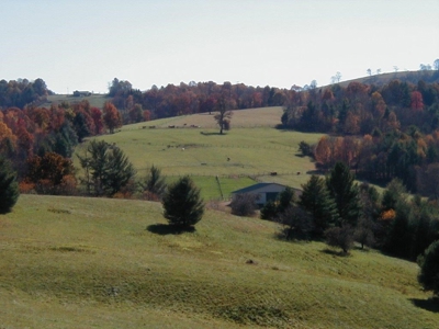 Large Acreage Farm for Sale in Dugspur VA - image 10