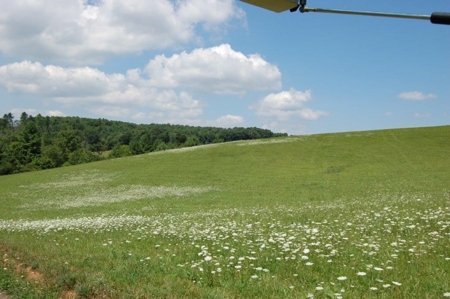 Large Acreage Farm for Sale in Dugspur VA - image 12