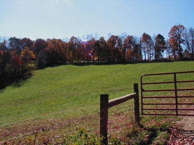 Large Acreage Farm for Sale in Dugspur VA - image 6