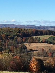 Large Acreage Farm for Sale in Dugspur VA - image 2