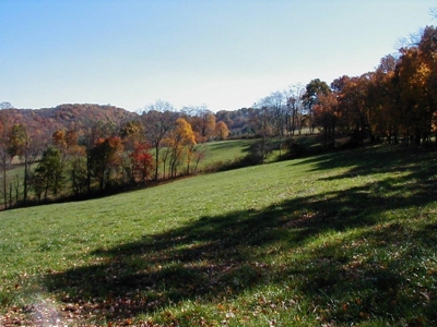 Large Acreage Farm for Sale in Dugspur VA - image 7