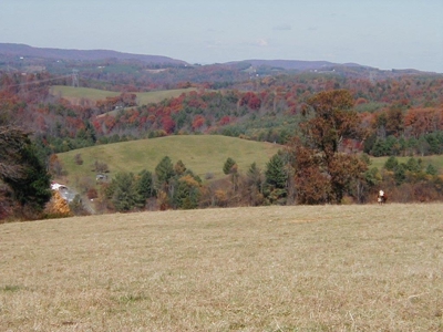 Large Acreage Farm for Sale in Dugspur VA - image 8