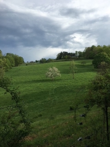 Large Acreage Farm for Sale in Dugspur VA - image 16