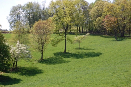 Large Acreage Farm for Sale in Dugspur VA - image 4