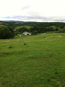 Large Acreage Farm for Sale in Dugspur VA - image 15