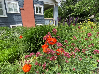 Historic home in Paonia CO has 8 bedrooms, guest apartment - image 27
