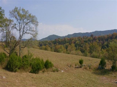 Riverfront Property For Sale At Auction Claiborne County Tn - image 17