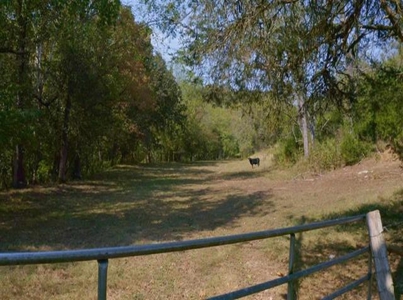 Riverfront Property For Sale At Auction Claiborne County Tn - image 10