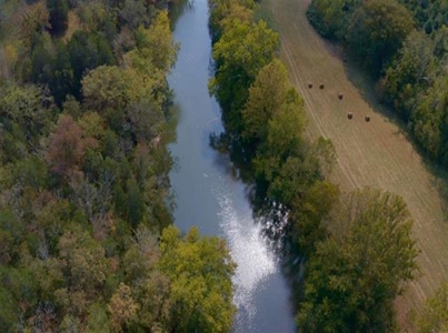 Riverfront Property For Sale At Auction Claiborne County Tn - image 9