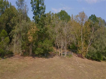 Riverfront Property For Sale At Auction Claiborne County Tn - image 5