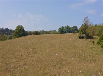 Riverfront Property For Sale At Auction Claiborne County Tn - image 16