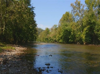 Riverfront Property For Sale At Auction Claiborne County Tn - image 1