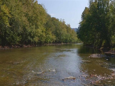 Riverfront Property For Sale At Auction Claiborne County Tn - image 15