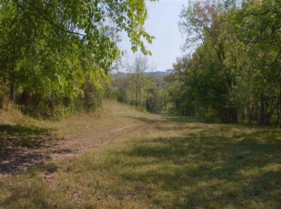 Riverfront Property For Sale At Auction Claiborne County Tn - image 12