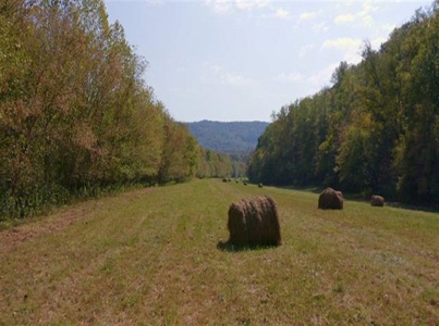 Riverfront Property For Sale At Auction Claiborne County Tn - image 3